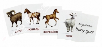 Набор раздаточных карточек "Домашние животные"