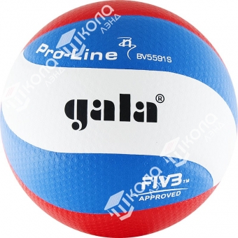 Мяч волейбольный GALA Pro-Line 10 FIVB