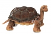 Галапагосская черепаха, 30 см
