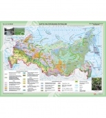Карта Растительность России (112х180) глянцевое 1-стороннее ламинирование