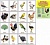 Комплект таблиц "Птицы домашние, дикие, декоративные" (15 таблиц)
