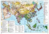 Карта Центральная и Восточная Азия социально-экономическая глянцевое 1-стороннее ламинирование