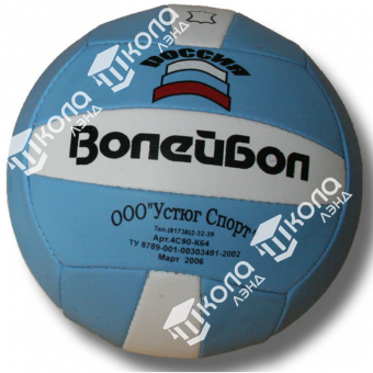 Мяч волейбольный Великий Устюг (кожа)
