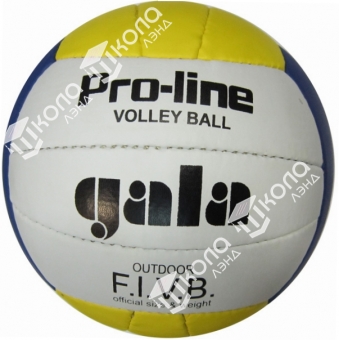 Мяч волейбольный GALA outdoor Pro-line (сшитый)