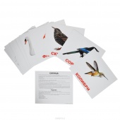 Набор карточек "Птицы"  (20 шт. 150х200 мм.)