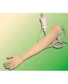 Фантом  руки  (для  отработки  навыков  внутривенных  инъекций)