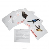 Набор карточек "Птицы"  (20 шт. 150х200 мм.)