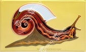 Модель барельефная "Внутреннее строение брюхоногого моллюска"